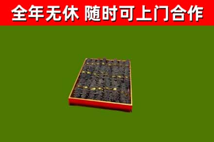 巫溪县回收海参